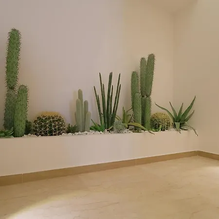 Stella Del Capo 3 Stelle Maison d'hôtes