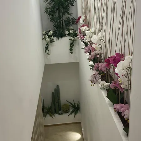 Stella Del Capo 3 Stelle Maison d'hôtes