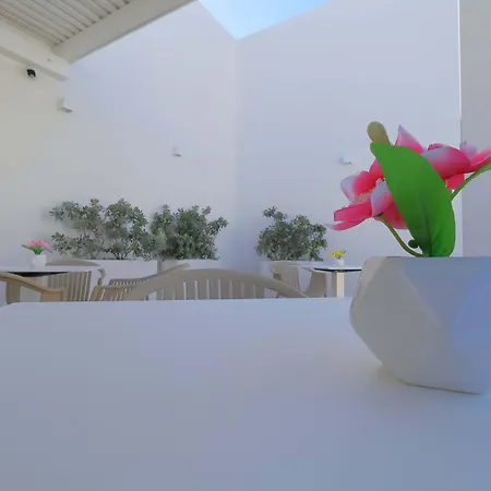 Stella Del Capo 3 Stelle San Vito Lo Capo